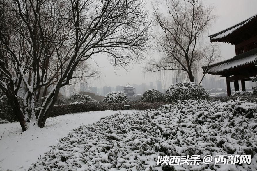 春节假期一场大雪浓了年味 美了不起眼的景和人