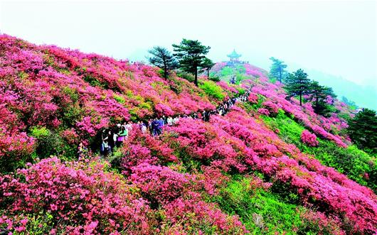 大别山文旅盛会5月亮相