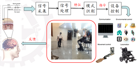 西交大研制脑控下肢外骨骼康复机器人：意念控制助力患者“站起来”_fororder_image004