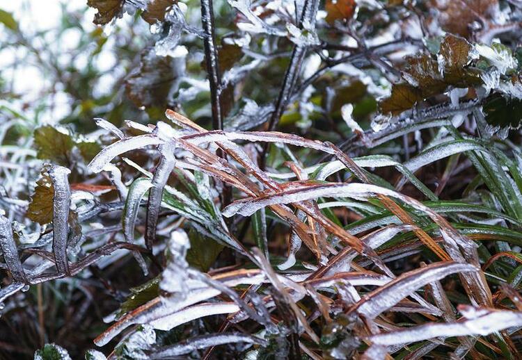 不用去北方   广西已开启冰天雪地模式