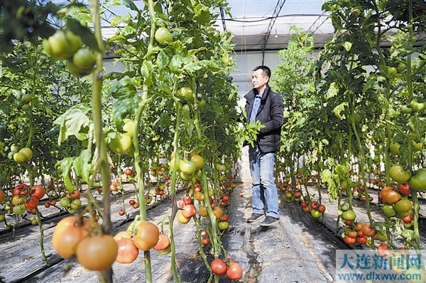 大连市春节消费市场购销两旺