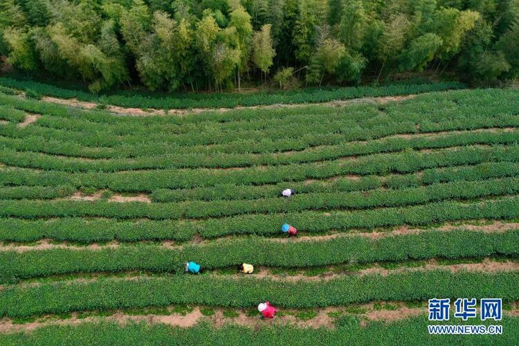 三明答卷——习近平新时代中国特色社会主义思想福建三明践行记