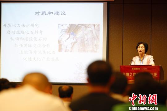 古生物化石专家齐聚新疆鄯善共谋丝绸之路化石保护