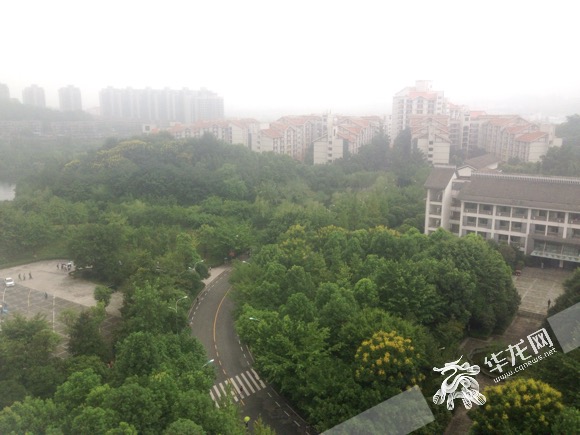 【社会民生列表】今夜局地又暴雨 明日山城最高不超25℃