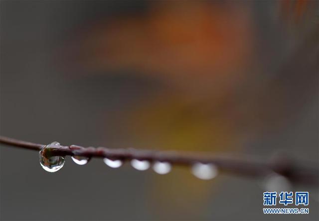 江苏淮安：一场秋雨一场寒