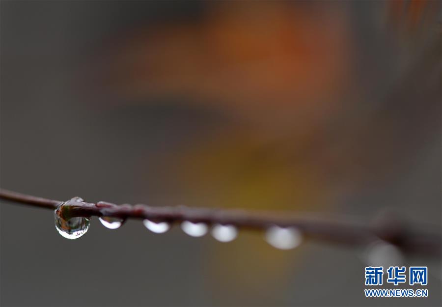 江苏淮安：一场秋雨一场寒