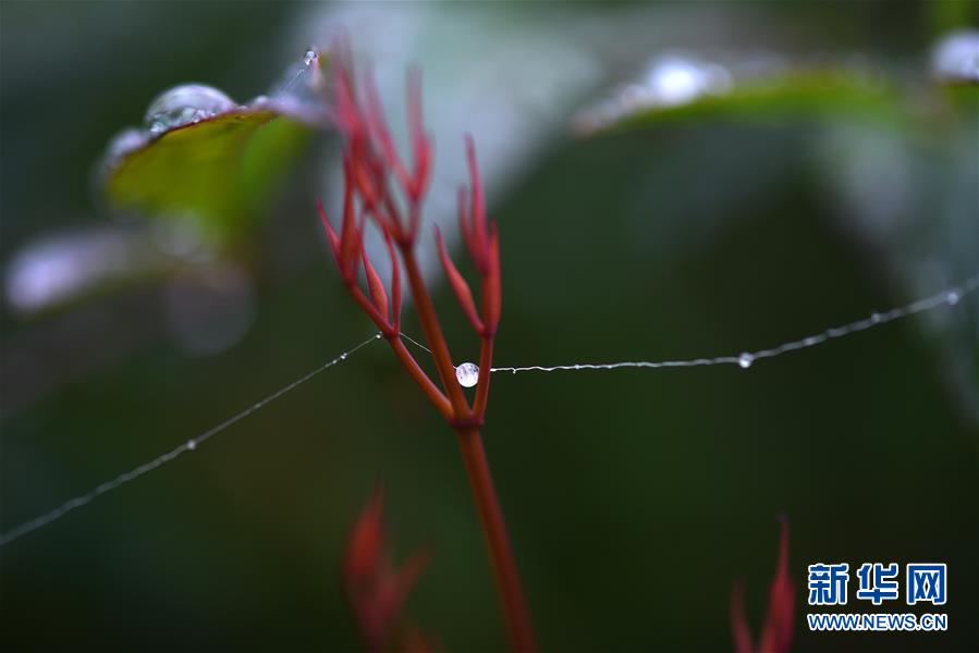 江苏淮安：一场秋雨一场寒