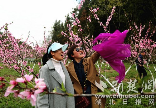 建始石门：种花种果搞旅游 幸福日子有奔头