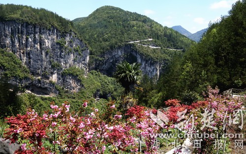 建始石门：种花种果搞旅游 幸福日子有奔头