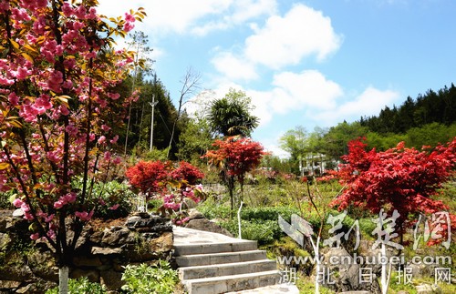 建始石门：种花种果搞旅游 幸福日子有奔头