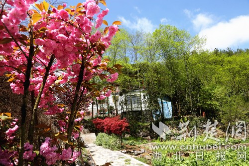 建始石门：种花种果搞旅游 幸福日子有奔头