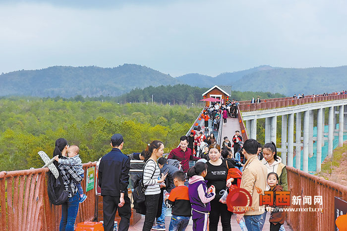 【图说福建第三张】【龙岩】【移动版】【Chinanews带图】闽粤赣三省游客纷纷来武平“吸氧”