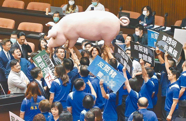 岛内即将开放莱猪进口 民众党公布民进党当局不敢说的真相