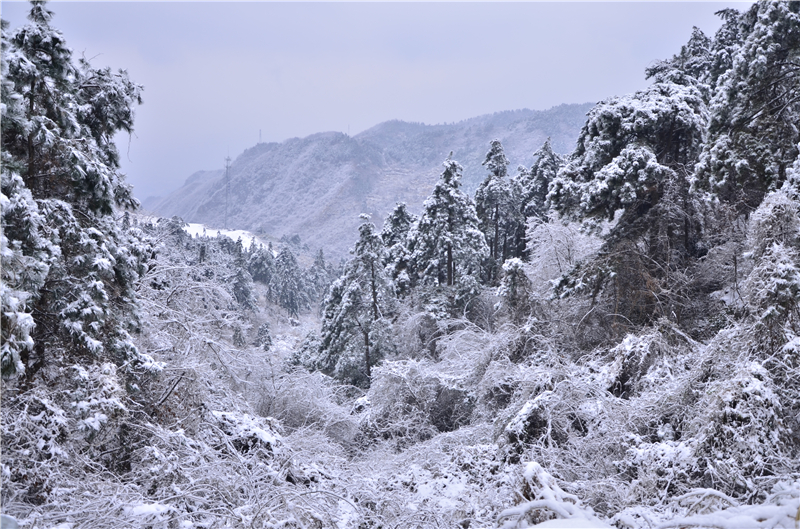 【B】雪后龟峰山 美景更娇艳（组图）_fororder_银装素裹   摄影余淑 荷