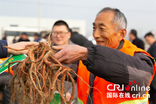 【河南在线-文字列表】【移动端-文字列表（页面标题：“食品安全中原行”走进南阳方城 聚焦特色产业发展）】“食品安全中原行”活动走进南阳方城 聚焦特色产业发展