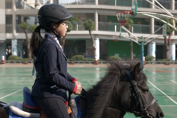 3位小骑士飒爽亮相 马术公开课走进水果湖一小