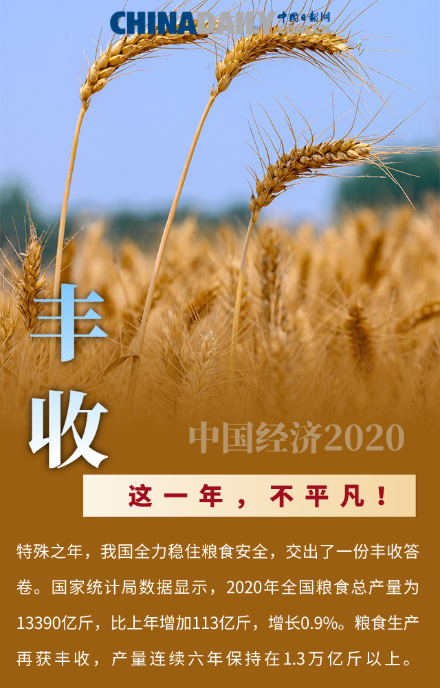 这一年，不平凡！十张海报，盘点中国经济的2020