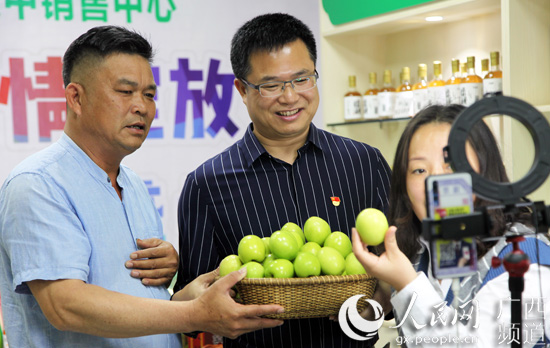 广西县委副书记直播卖青枣 助果农打通产销“堵点”