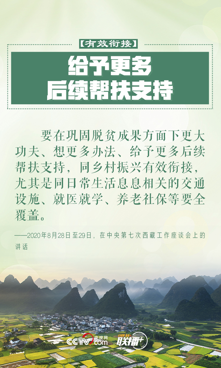 做好乡村振兴大文章 习近平反复强调这四个字