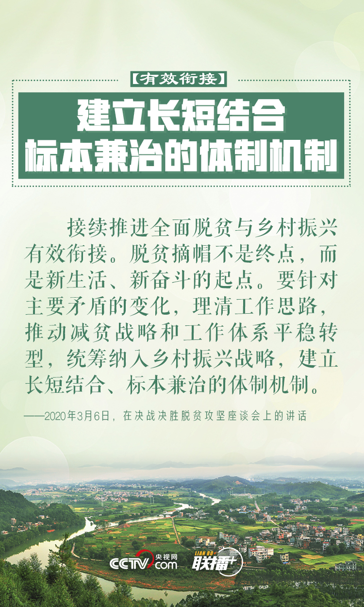 做好乡村振兴大文章 习近平反复强调这四个字