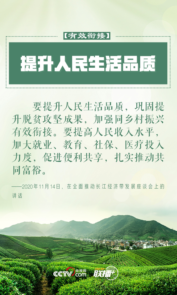 做好乡村振兴大文章 习近平反复强调这四个字