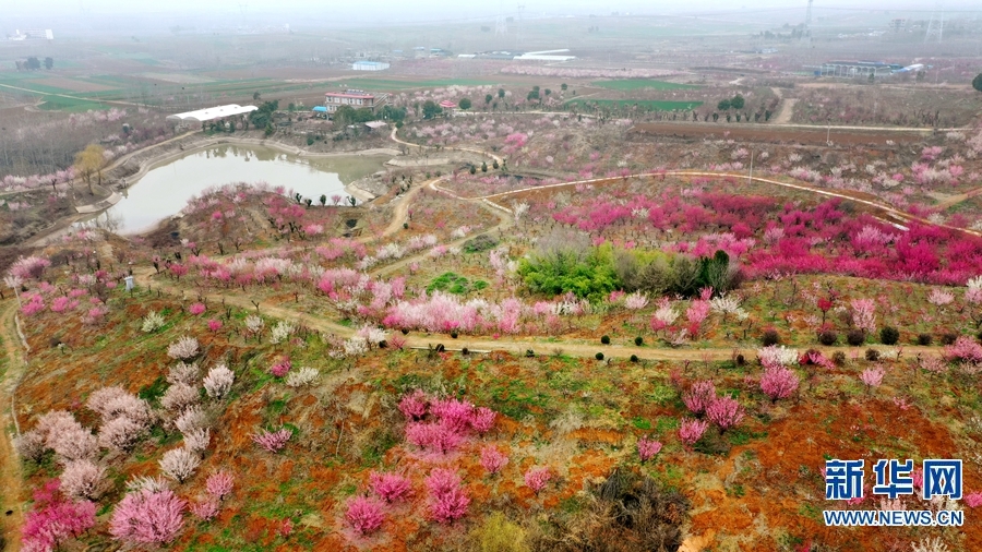 【焦点图-大图】【移动端-轮播图】南阳市卧龙区：植树造绿正当时