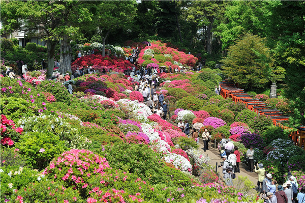 东京旅游推荐：谷根千区域