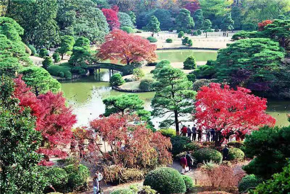 东京六义园：一所历史悠久的日本庭园