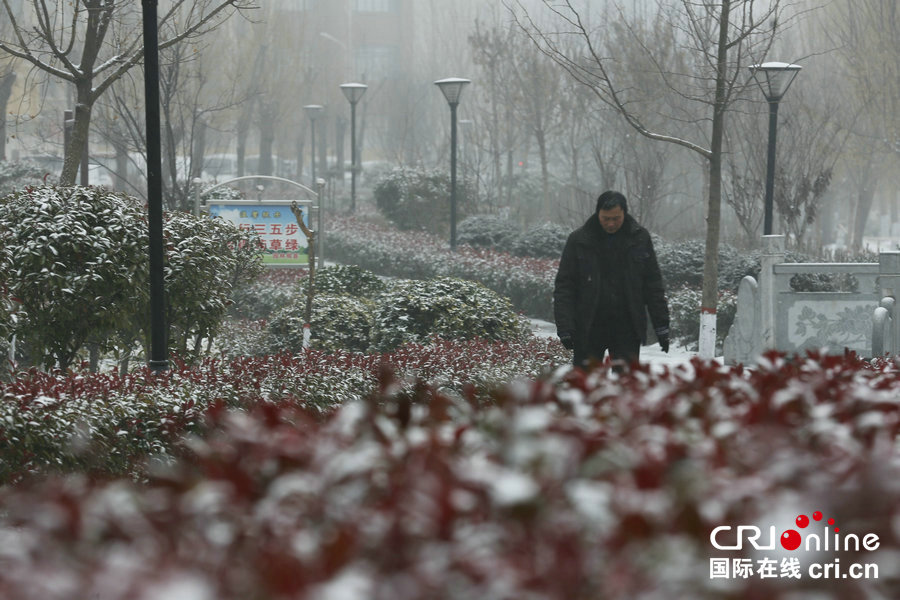 【焦点图-大图】【移动端-焦点图】【图说4】河南宝丰迎来降雪天气