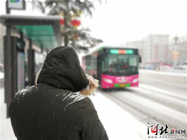 飞雪迎春 河北这场雪中故事不一般