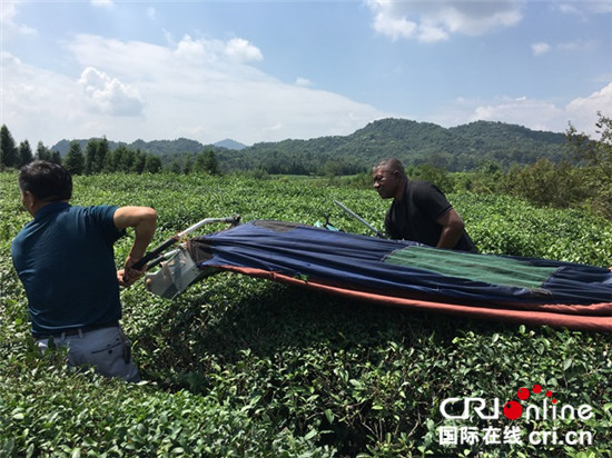 图片默认标题_fororder_刚果（布）国家电台记者蒙布里体验采茶机_副本_副本