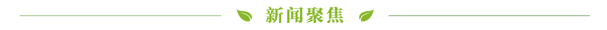 新闻聚焦banner_fororder_新闻聚焦