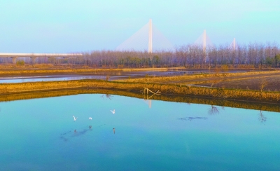 南京：生态湿地 候鸟天堂