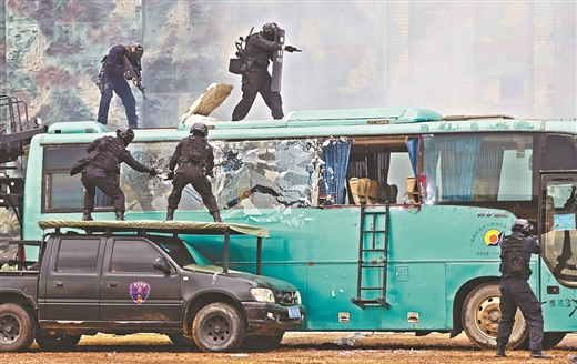 臻于至善勇担当 勠力同心铸忠诚 ——写在首个“中国人民警察节”到来之际