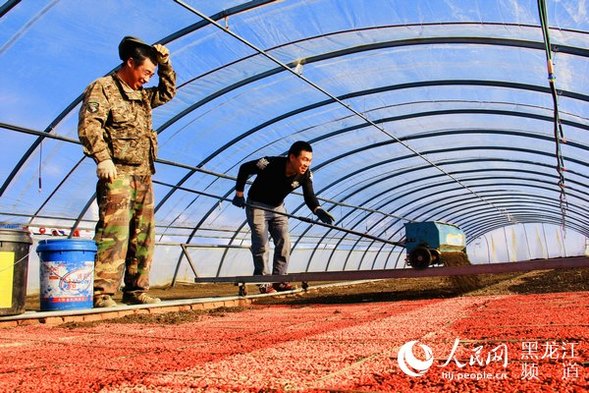 齐齐哈尔讷河市奏响备春耕“进行曲”