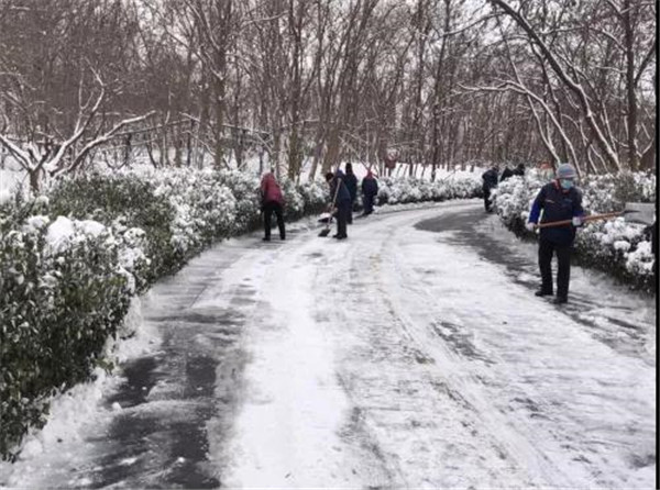 （图说已修改）以雪为令 济南文旅发展集团积极行动应对低温雨雪天气