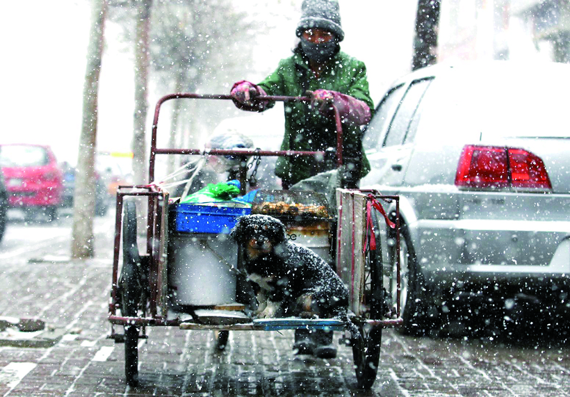 长春：飞雪 “战” 惊蛰