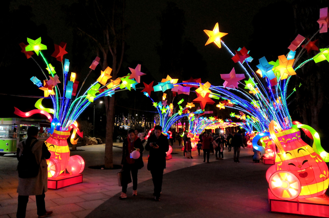 元宵灯光艺术节亮灯 南宁园博园首次开放夜间景观