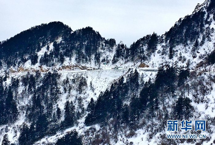 雪后神农架 尽显静谧美