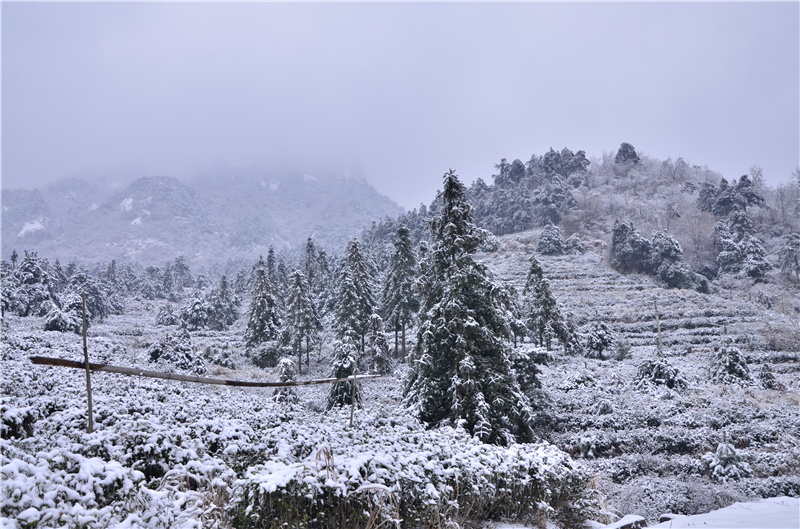 【B】雪后龟峰山 美景更娇艳（组图）_fororder_龟山云雾  摄影余淑荷