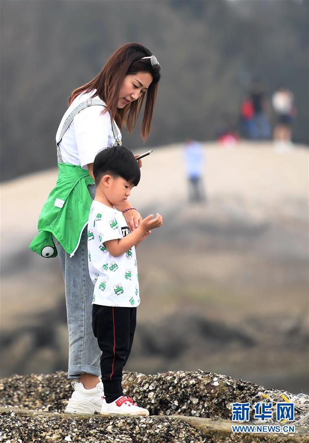 广西三娘湾景区迎来旅游热