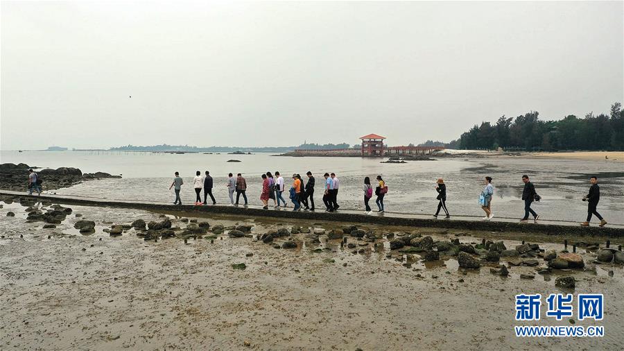 广西三娘湾景区迎来旅游热