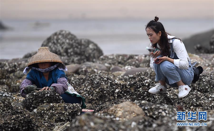 广西三娘湾景区迎来旅游热