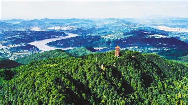 修复生态 铁腕治山精心护岛