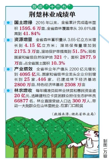 “十三五”湖北省造林绿化近1600万亩 超额完成计划任务_fororder_微信截图_20210105092208