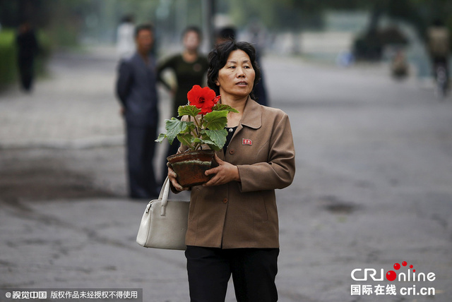 摄影师拍摄平壤街头百姓生活