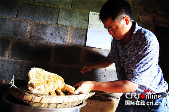 已过审【区县联动】【云阳】云阳高阳土蜂蜜不简单　好品质供不应求【区县联动列表】云阳高阳土蜂蜜供不应求