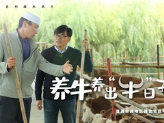 【小康之路系列微记录片】养牛养出“牛”日子