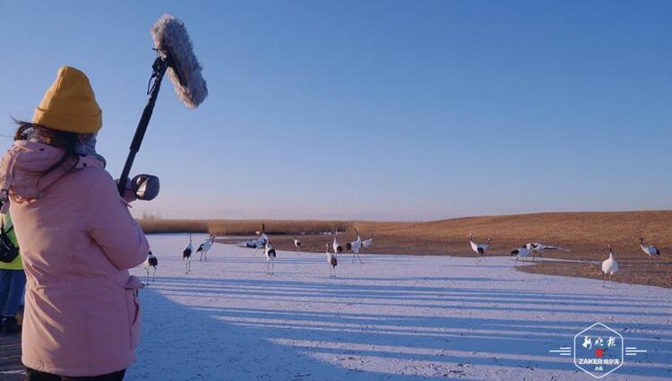 讲好东北故事！“一个盒子”再次创作网游冰雪系列视频，让龙江冰雪火遍全网