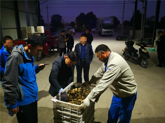 （灌云县委宣传部 供稿 县域经济列表 三吴大地连云港 移动版）江苏灌云：多部门联手向野生动物交易说“不”